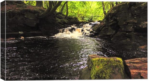 The Birks of Aberfeldy perthshire  Canvas Print by Sandy Young