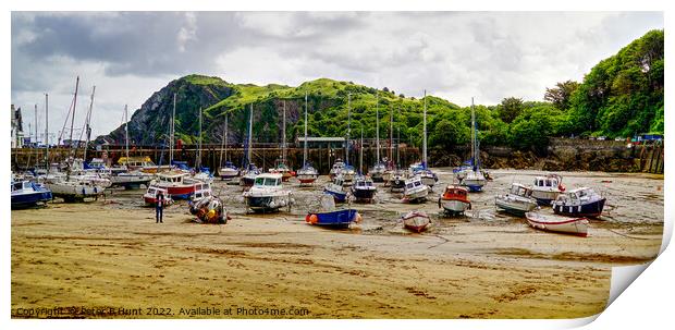 Ilfracombe Harbour From The Beach Print by Peter F Hunt