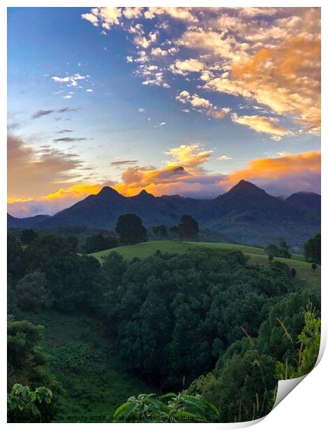 Sunset Over Mount Warning Print by Julie Gresty