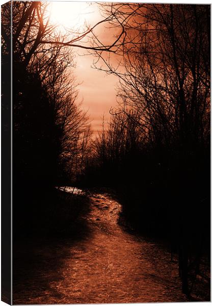 Stay on the Path Canvas Print by kurt bolton
