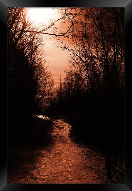 Stay on the Path Framed Print by kurt bolton