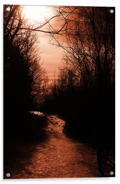 Stay on the Path Acrylic by kurt bolton