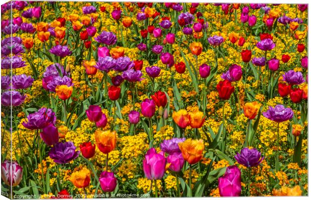 Flowers in Victoria Embankment Gardens in London, UK Canvas Print by Chris Dorney