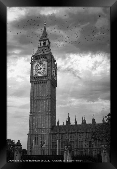 A monochrome of Big Ben in London Framed Print by Ann Biddlecombe