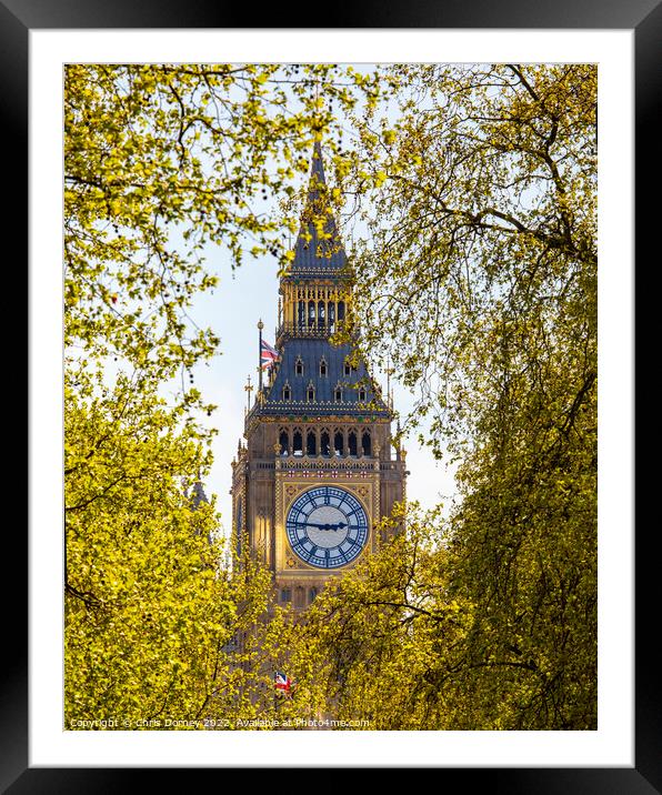 Elizabeth Tower viewed from the Victoria Embankment in London, U Framed Mounted Print by Chris Dorney