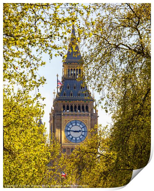 Elizabeth Tower viewed from the Victoria Embankment in London, U Print by Chris Dorney