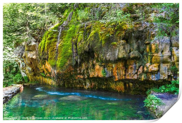 waterfall with green moss and plants in luxemburg Print by Chris Willemsen