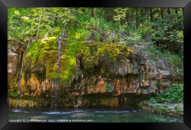waterfall with green moss and plants in luxemburg Framed Print by Chris Willemsen