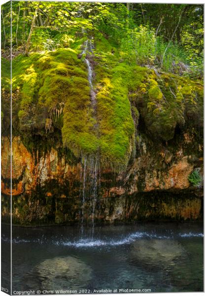 waterfall with green moss and plants in luxemburg Canvas Print by Chris Willemsen