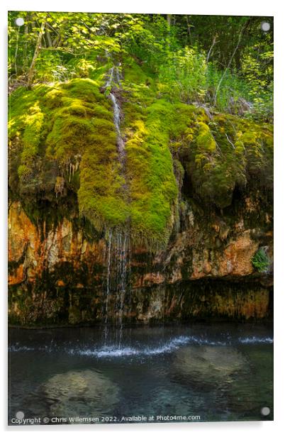 waterfall with green moss and plants in luxemburg Acrylic by Chris Willemsen