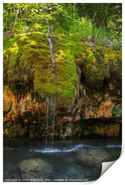 waterfall with green moss and plants in luxemburg Print by Chris Willemsen
