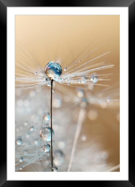 Fairy Blue Drop Framed Mounted Print by Sharon Johnstone