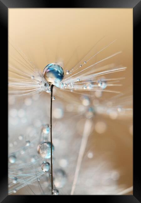 Fairy Blue Drop Framed Print by Sharon Johnstone