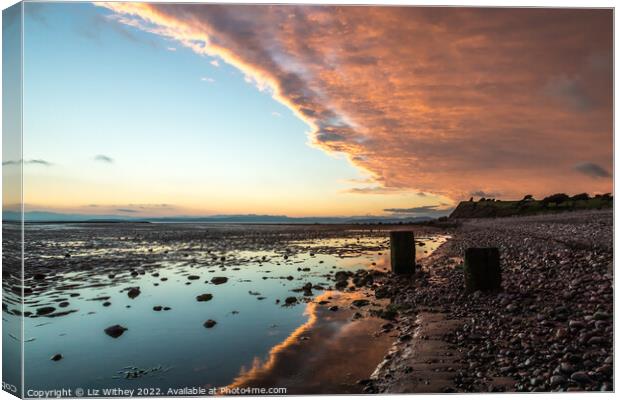 Sunset Red Bank, Morecambe Bay Canvas Print by Liz Withey