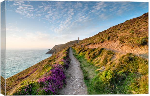 Summer at Wheal Coates Canvas Print by Helen Hotson
