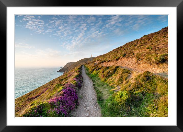 Summer at Wheal Coates Framed Mounted Print by Helen Hotson
