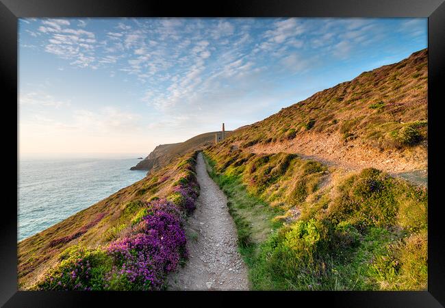Summer at Wheal Coates Framed Print by Helen Hotson