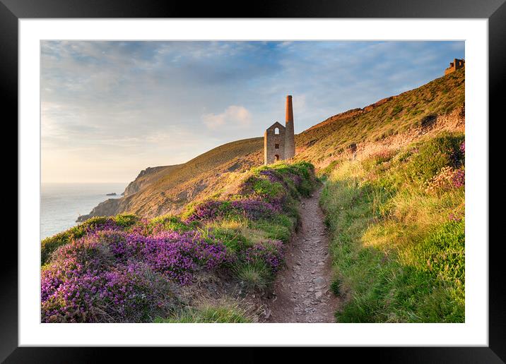 Summer on the Coast Path Framed Mounted Print by Helen Hotson