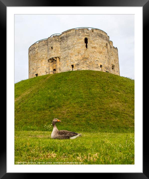 Cliffords Tower in York, UK Framed Mounted Print by Chris Dorney
