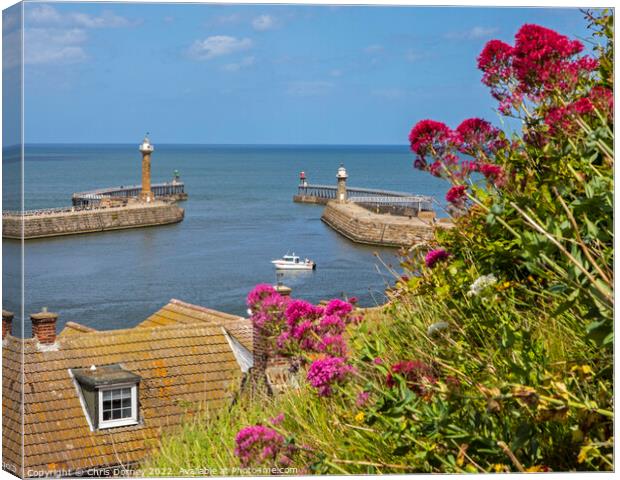 Whitby Harbour Lighthouses in North Yorkshire, UK Canvas Print by Chris Dorney