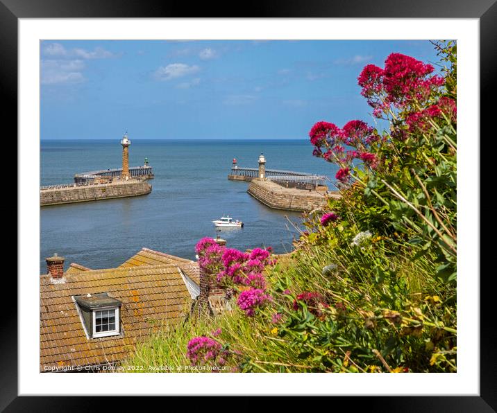 Whitby Harbour Lighthouses in North Yorkshire, UK Framed Mounted Print by Chris Dorney