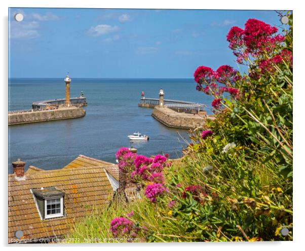 Whitby Harbour Lighthouses in North Yorkshire, UK Acrylic by Chris Dorney