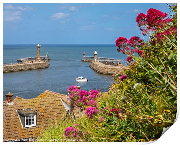 Whitby Harbour Lighthouses in North Yorkshire, UK Print by Chris Dorney