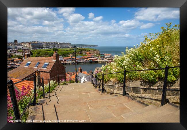199 Steps in Whitby, North Yorkshire Framed Print by Chris Dorney