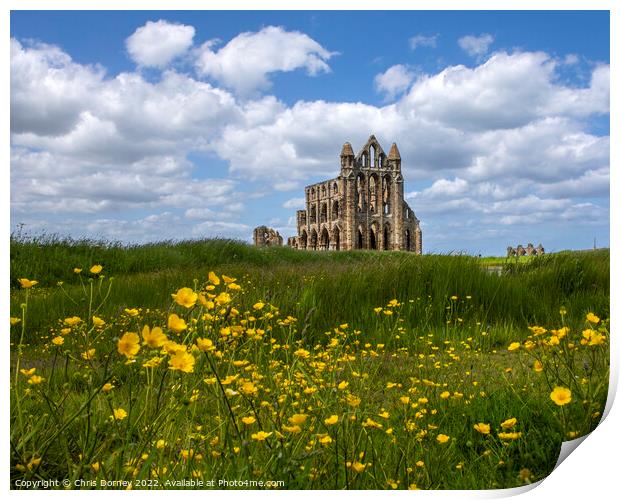 Whitby Abbey in North Yorkshire, UK Print by Chris Dorney