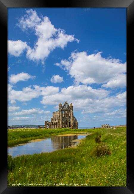 Whitby Abbey in North Yorkshire, UK Framed Print by Chris Dorney