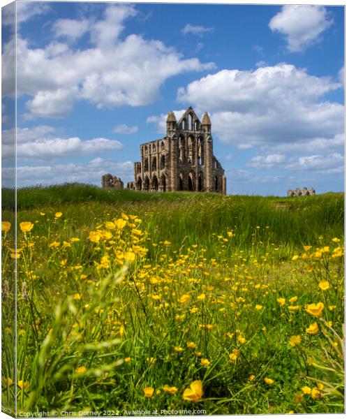 Whitby Abbey in North Yorkshire, UK Canvas Print by Chris Dorney