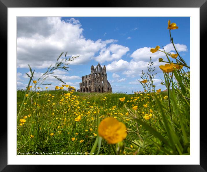 Whitby Abbey in North Yorkshire, UK Framed Mounted Print by Chris Dorney