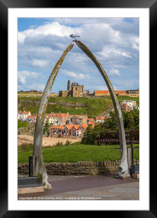 Whale Bone Arch in Whitby, North Yorkshire Framed Mounted Print by Chris Dorney