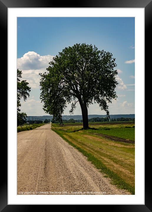 Big Tree by Country Road Framed Mounted Print by STEPHEN THOMAS