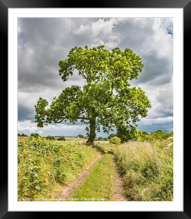 A Country Lane in Summer Framed Mounted Print by Richard Laidler
