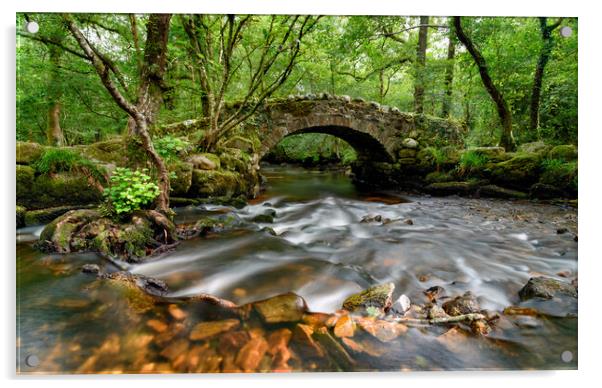 Dartmoor Bridge Acrylic by Helen Hotson