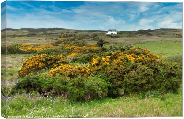 House On the Hillside, Islay, Scotland Canvas Print by Kasia Design