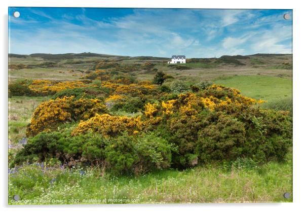 House On the Hillside, Islay, Scotland Acrylic by Kasia Design
