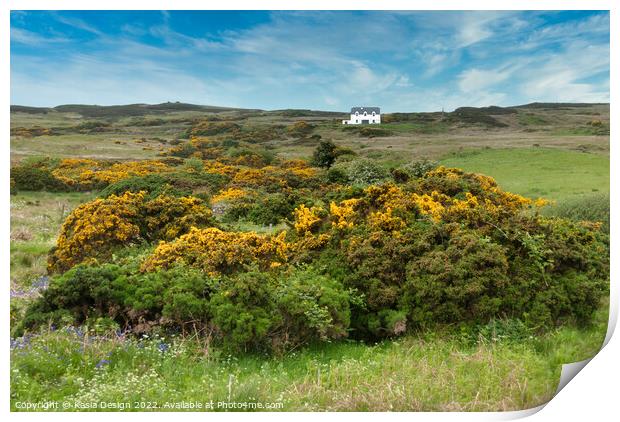 House On the Hillside, Islay, Scotland Print by Kasia Design