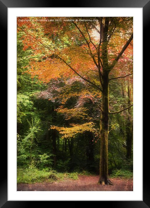 Autumn Fare Framed Mounted Print by Christine Lake