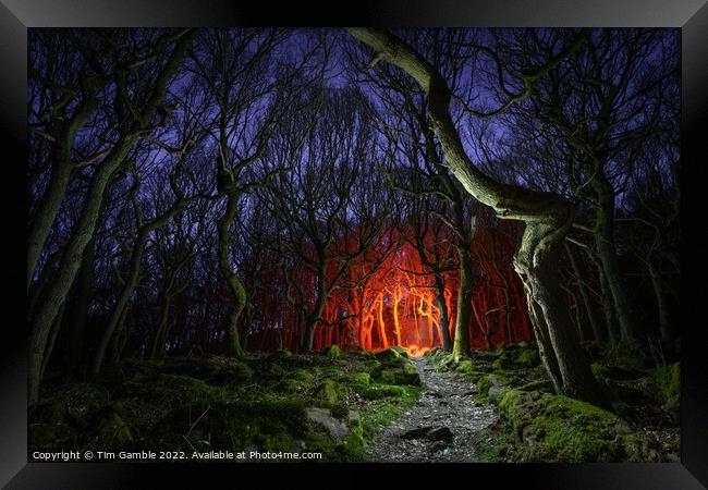 Fantasy Woodland Scene Framed Print by Tim Gamble