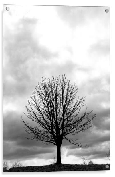 Mono Tree Acrylic by Glen Allen