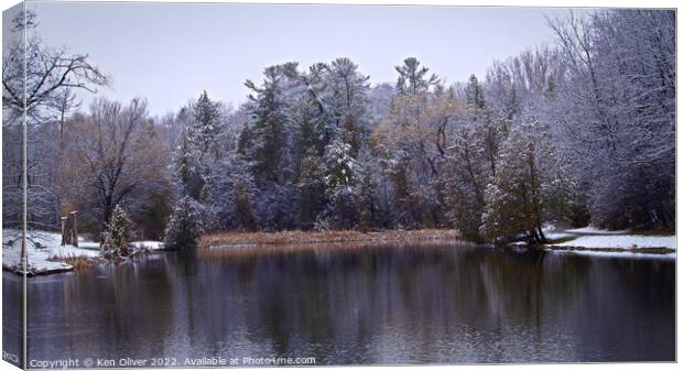 "Gossamer Snow: A Tranquil Winter Oasis" Canvas Print by Ken Oliver