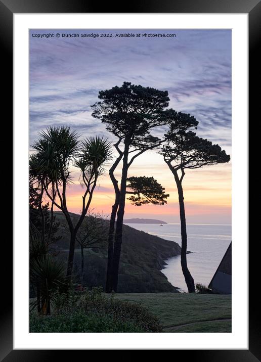 Maenporth tree silhoette sunrise Framed Mounted Print by Duncan Savidge