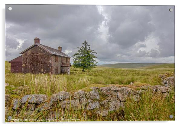 Dartmoor National Park  Acrylic by Ian Stone