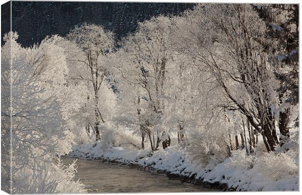 Icy River Canvas Print by Thomas Schaeffer