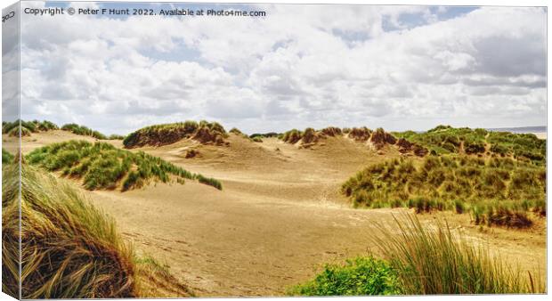 The Dunes At Saunton Sands Canvas Print by Peter F Hunt