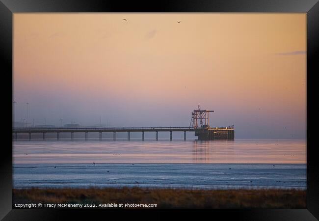 Outdoor  Framed Print by Tracy McMenemy