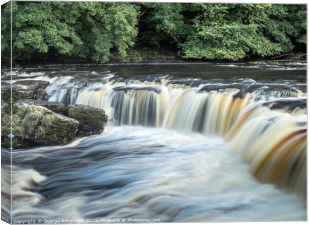 Aysgarth Upper Falls in Yorkshire Dales Canvas Print by George Robertson