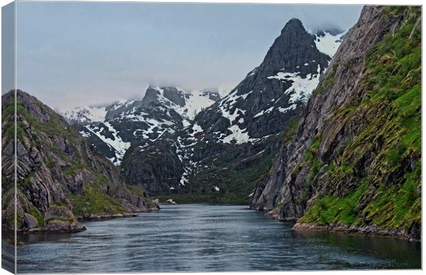 Entering Trollfjord at Midnight in Norway Canvas Print by Martyn Arnold